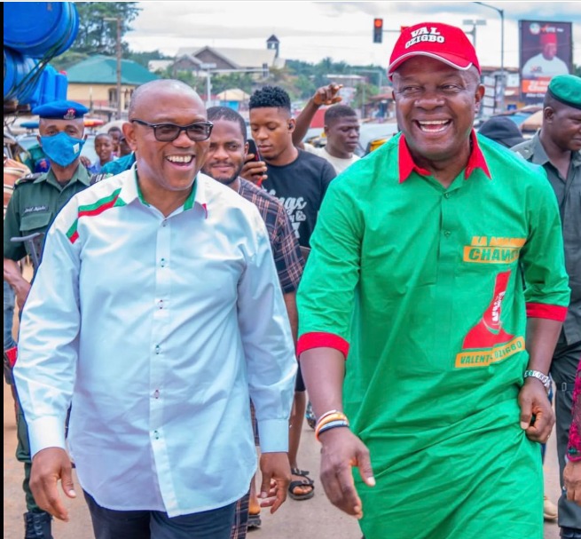 I’d like to welcome Peter Obi in APC some day — Valentine Ozigbo